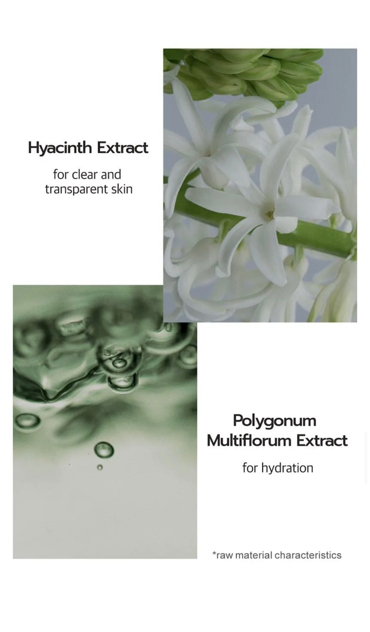 **BOGO** Numbuzin no.1 Centella Re-leaf Green Toner Pad