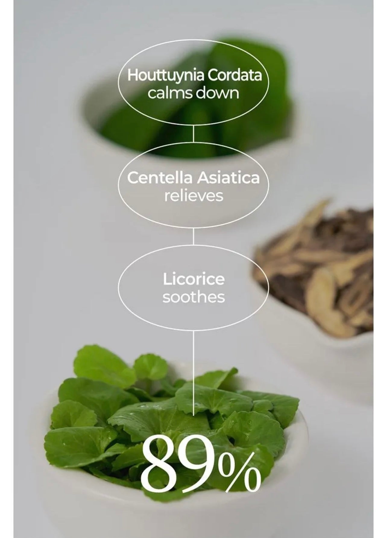 **BOGO** Numbuzin no.1 Centella Re-leaf Green Toner Pad