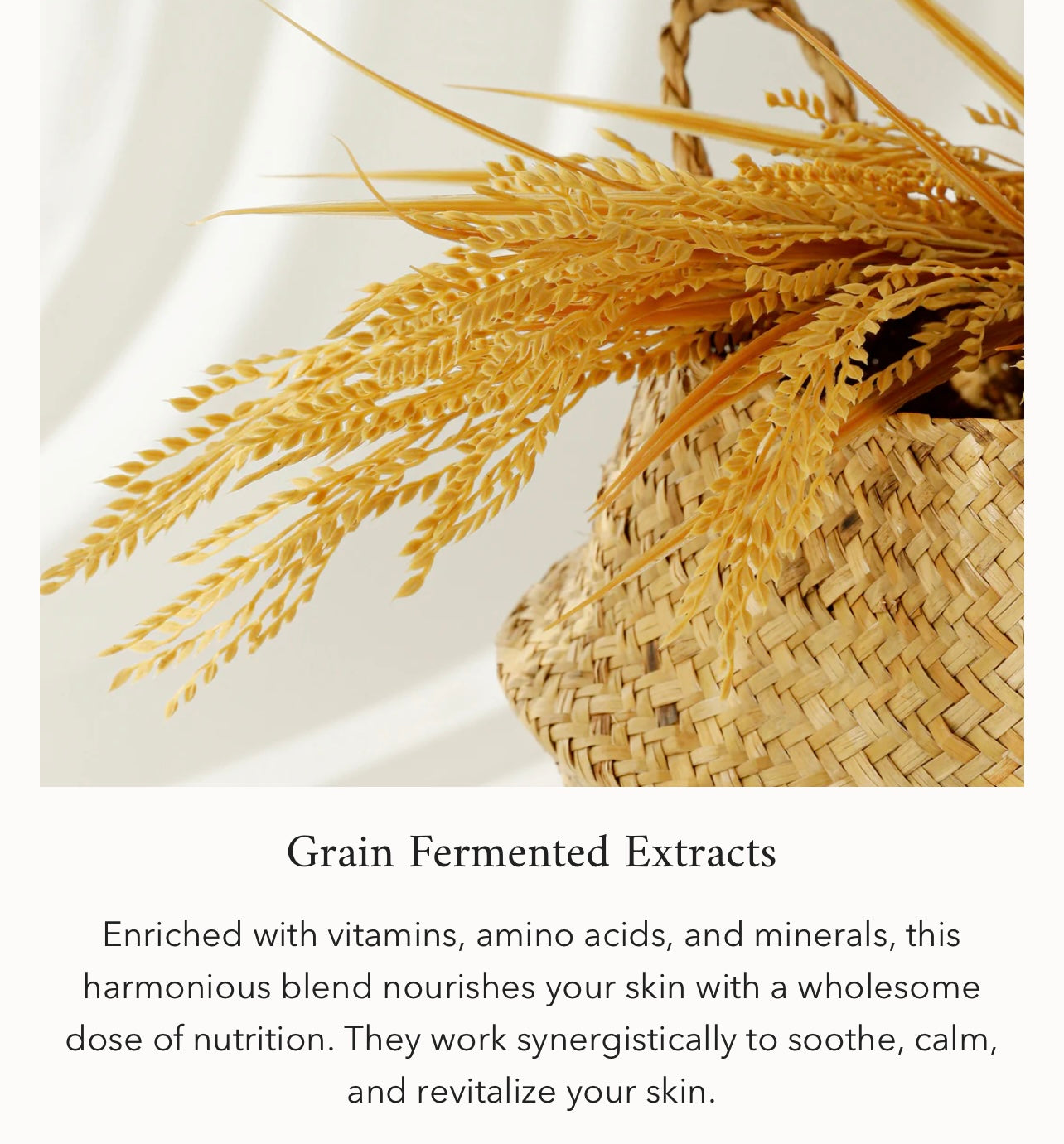 Beauty of Joseon Relief Sun : Rice + Probiotics