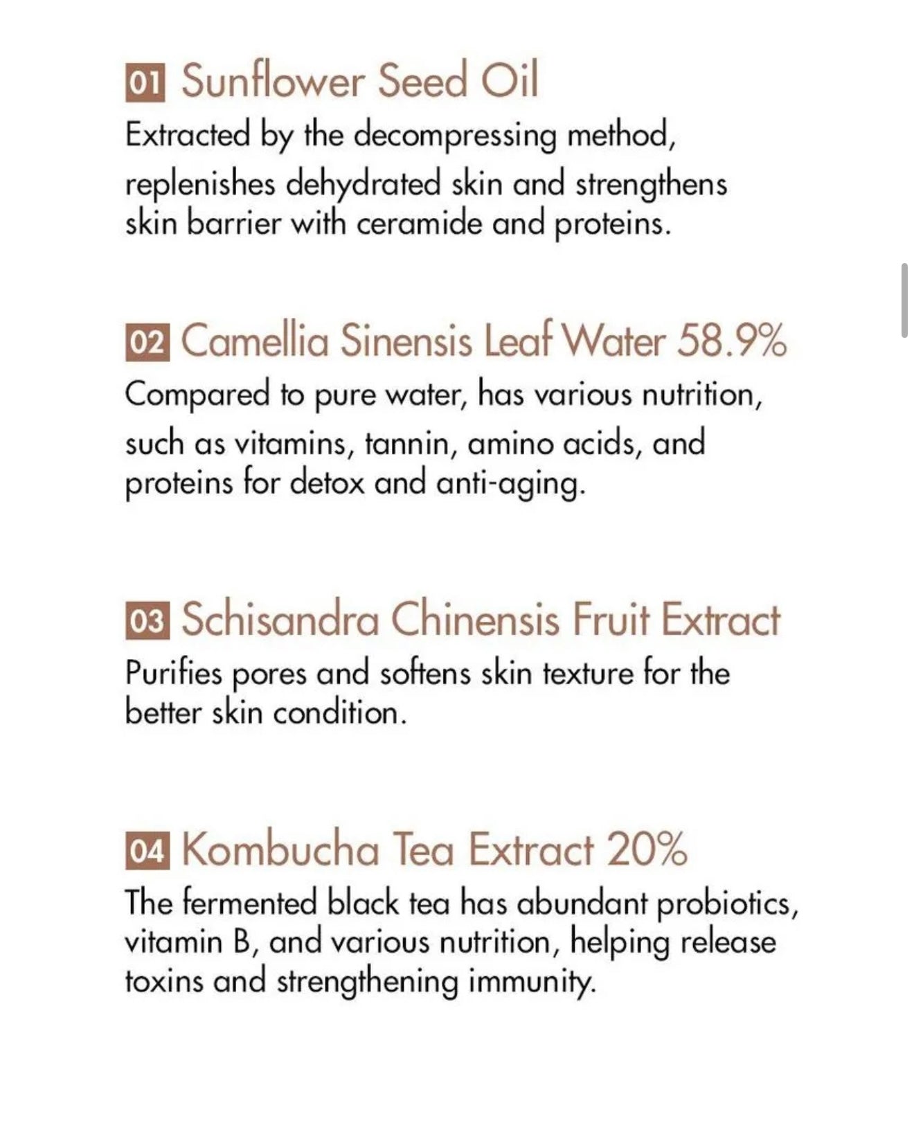 Dr.Ceuracle Vegan Kombucha Tea Beginning Set