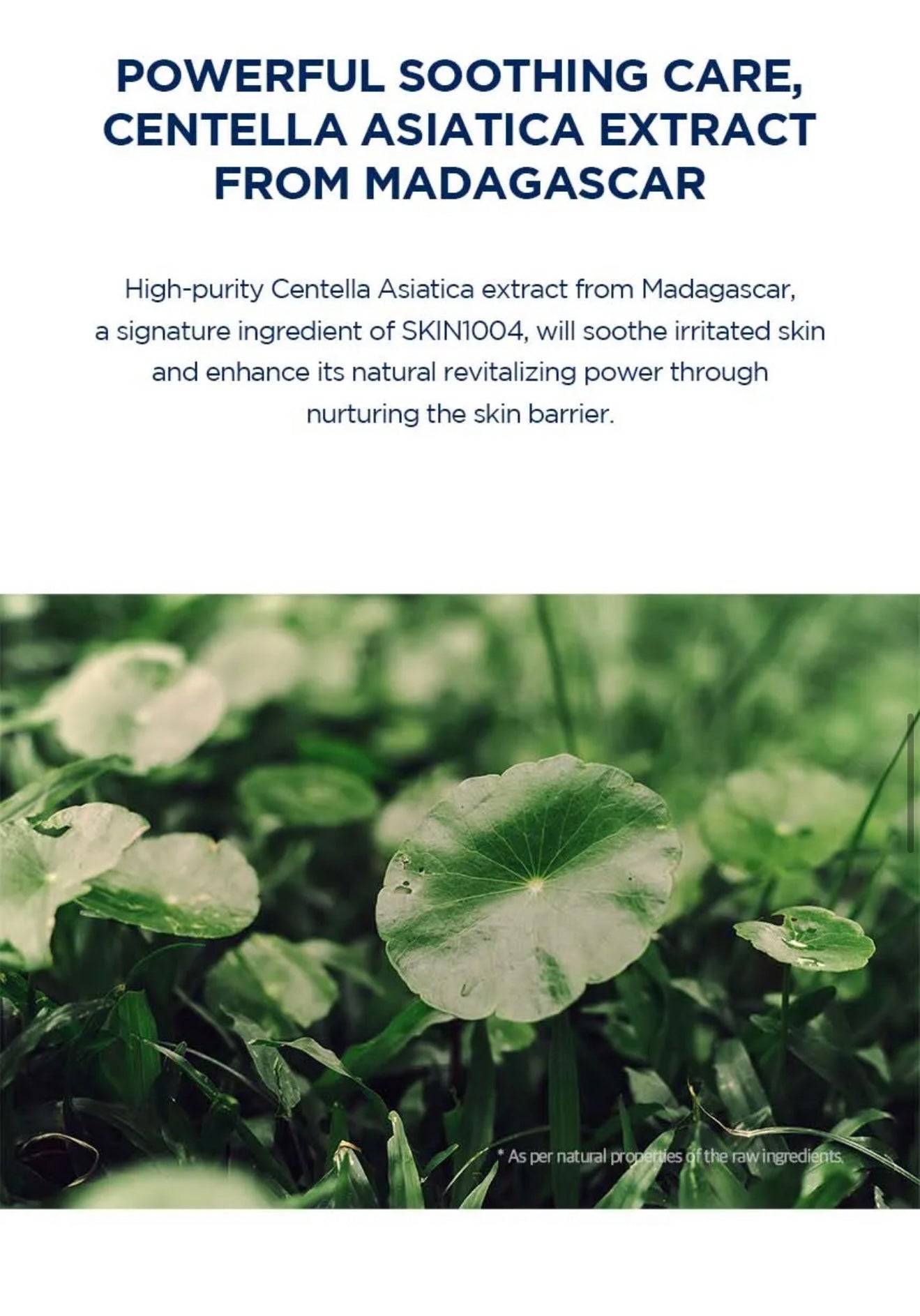 SKIN1004 Madagascar Centella Hyalu-Cica Water-Fit Sun Serum (SPF50+ PA++++)