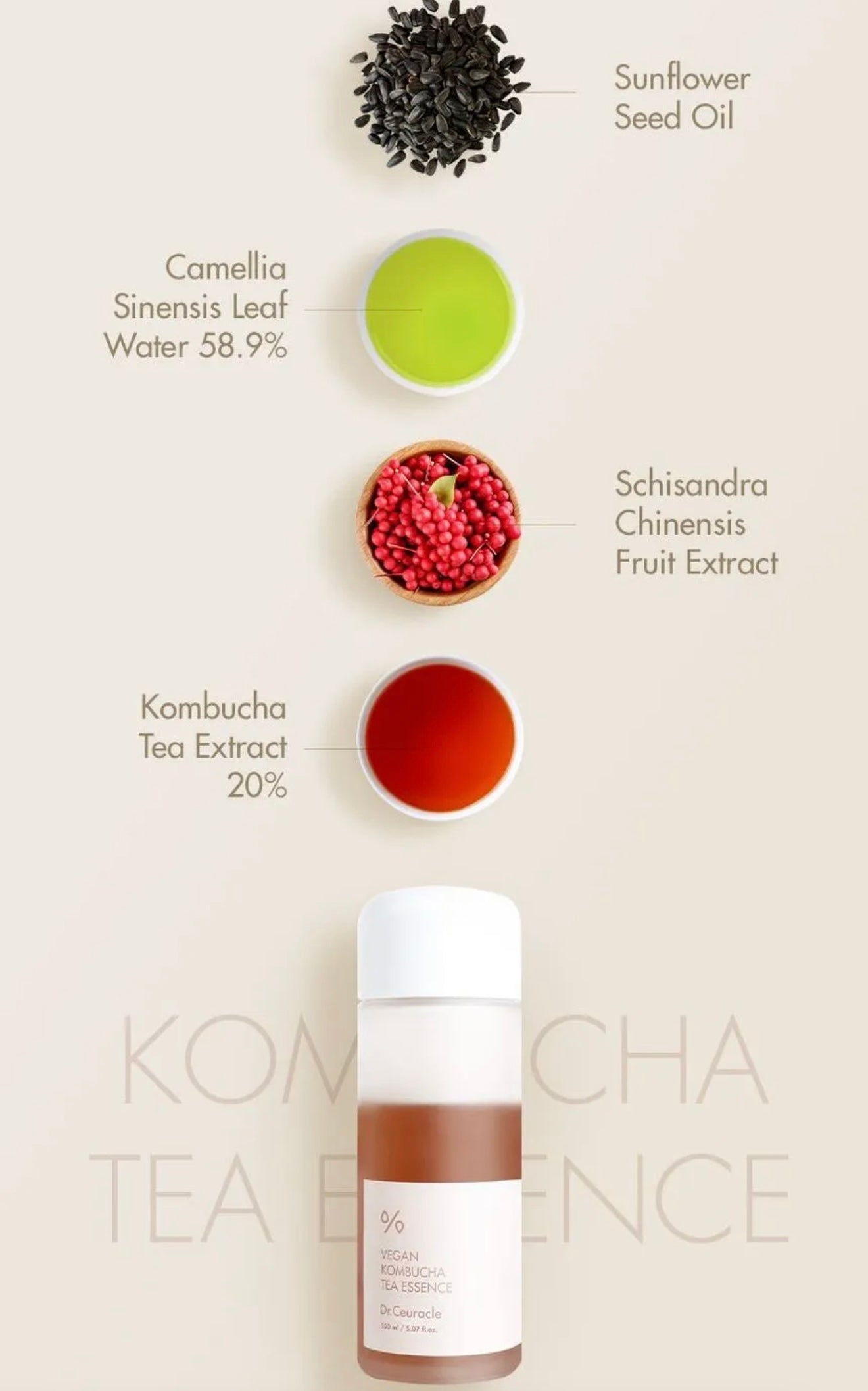 Dr.Ceuracle Vegan Kombucha Tea Beginning Set