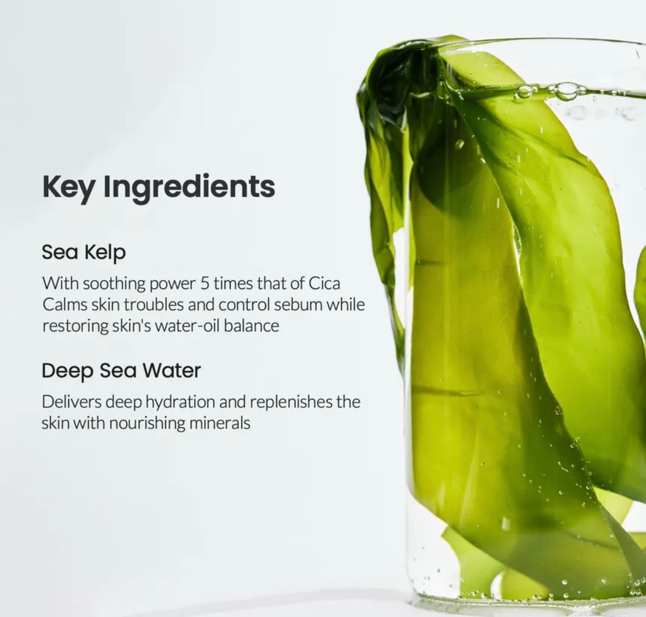 Biodance Refreshing Sea Kelp Real Deep Mask