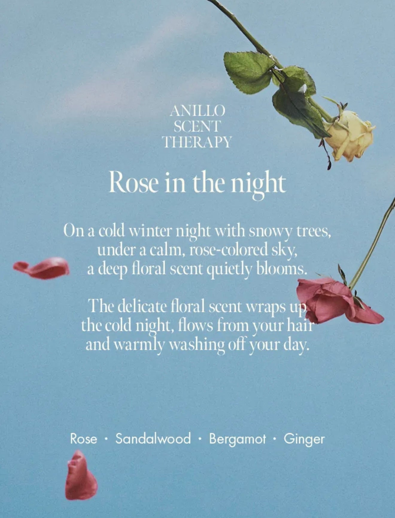 ANILLO Rosy Night Repair Ampoule Treatment