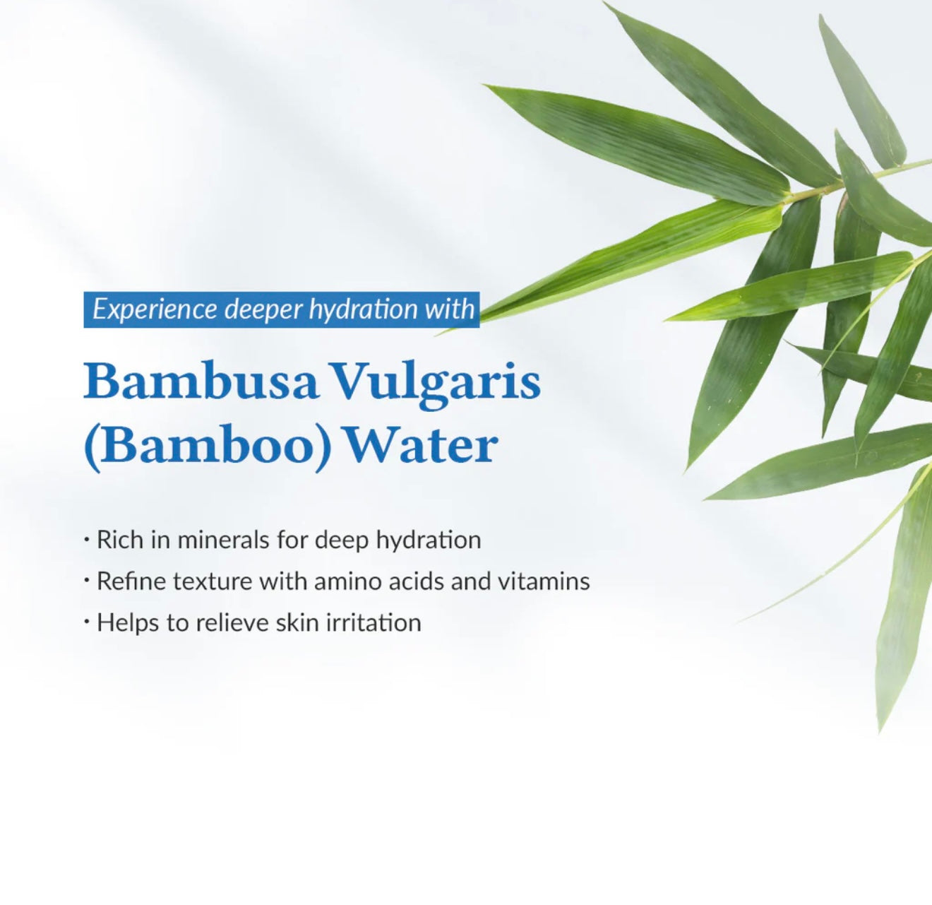 Dr.Althea Aqua Marine Watery Cream