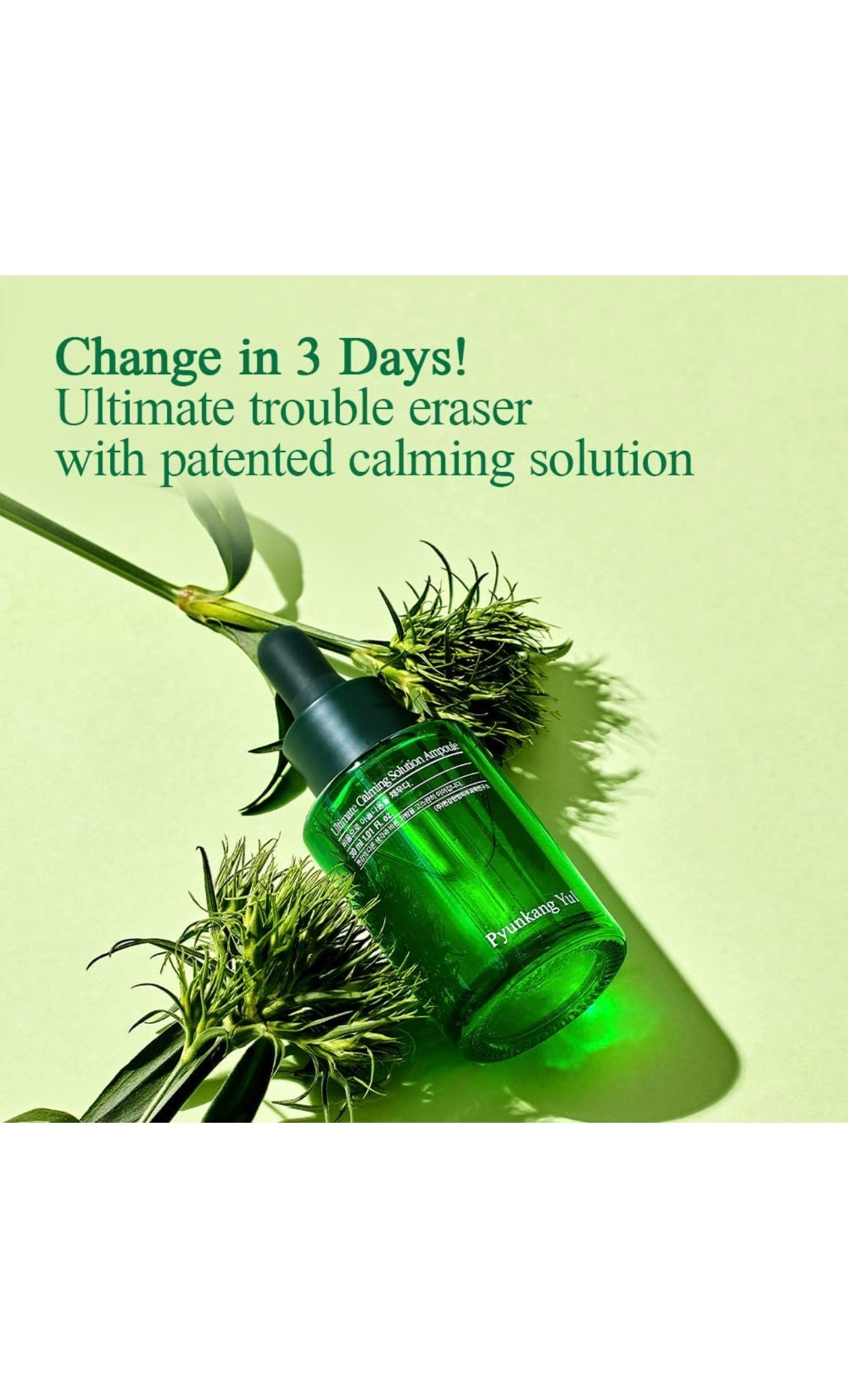 Pyunkang Yul Ultimate Calming Solution Ampoule