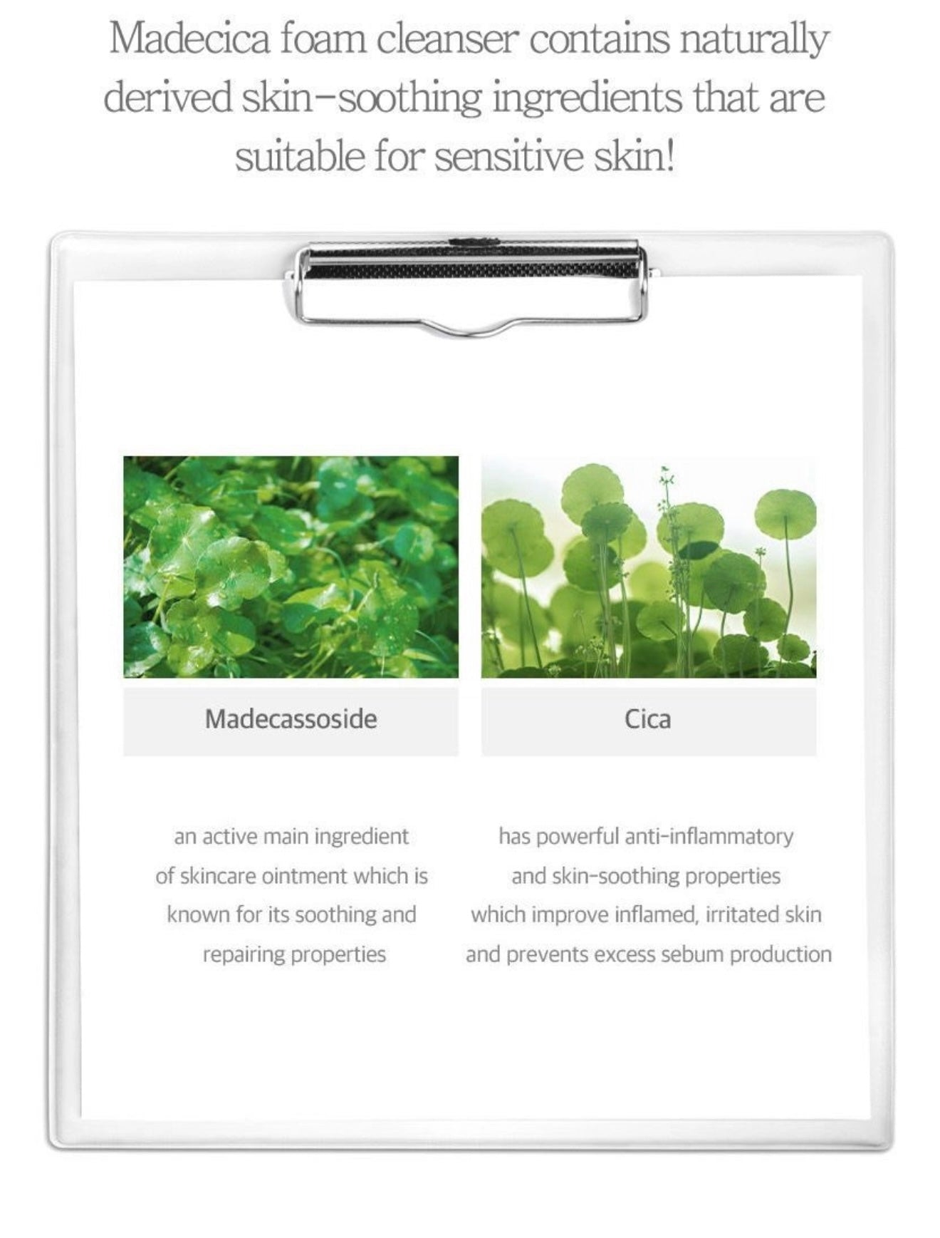 celimax Derma Nature Relief Madecica pH Balancing Foam Cleansing