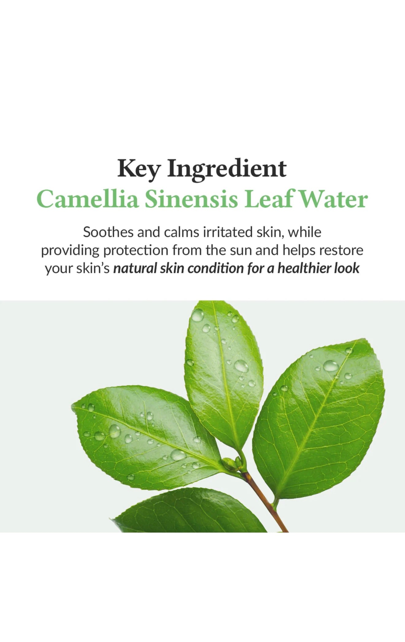 Dr.Althea Green Tea Fresh Sunscreen