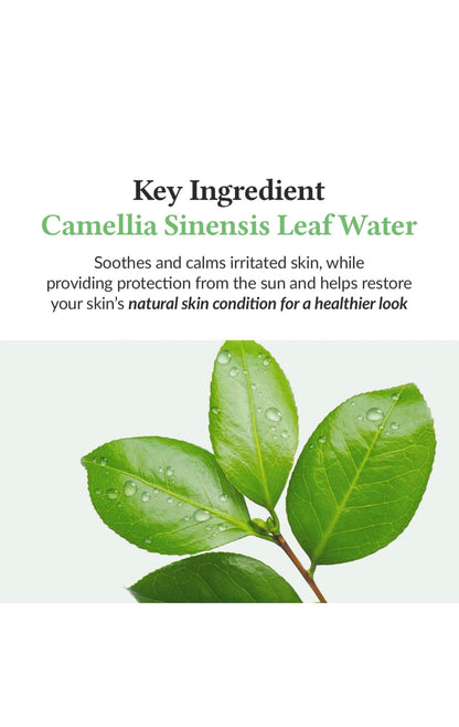 Dr.Althea Green Tea Fresh Sunscreen