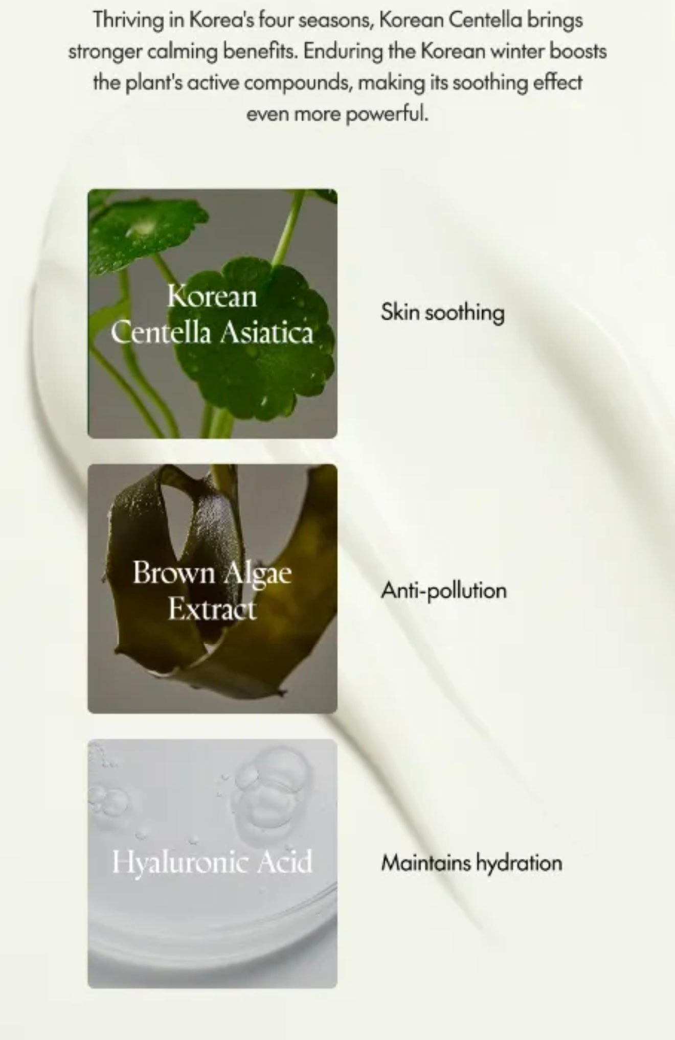 Purito SEOUL Wonder Releaf Centella Daily Sun Lotion
