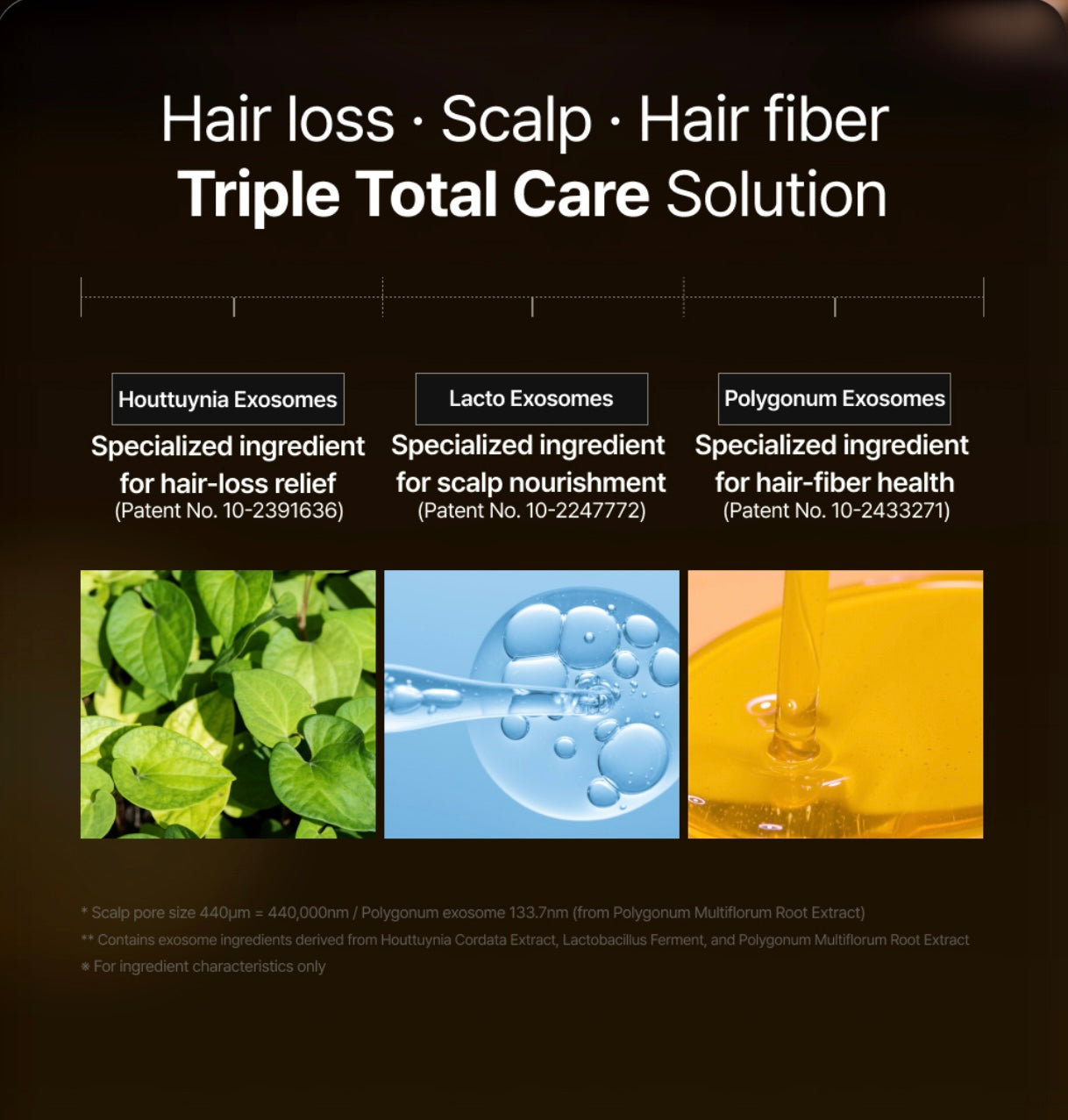 Lilyeve Grow:Turn Exosome Brush Ampoule Mini