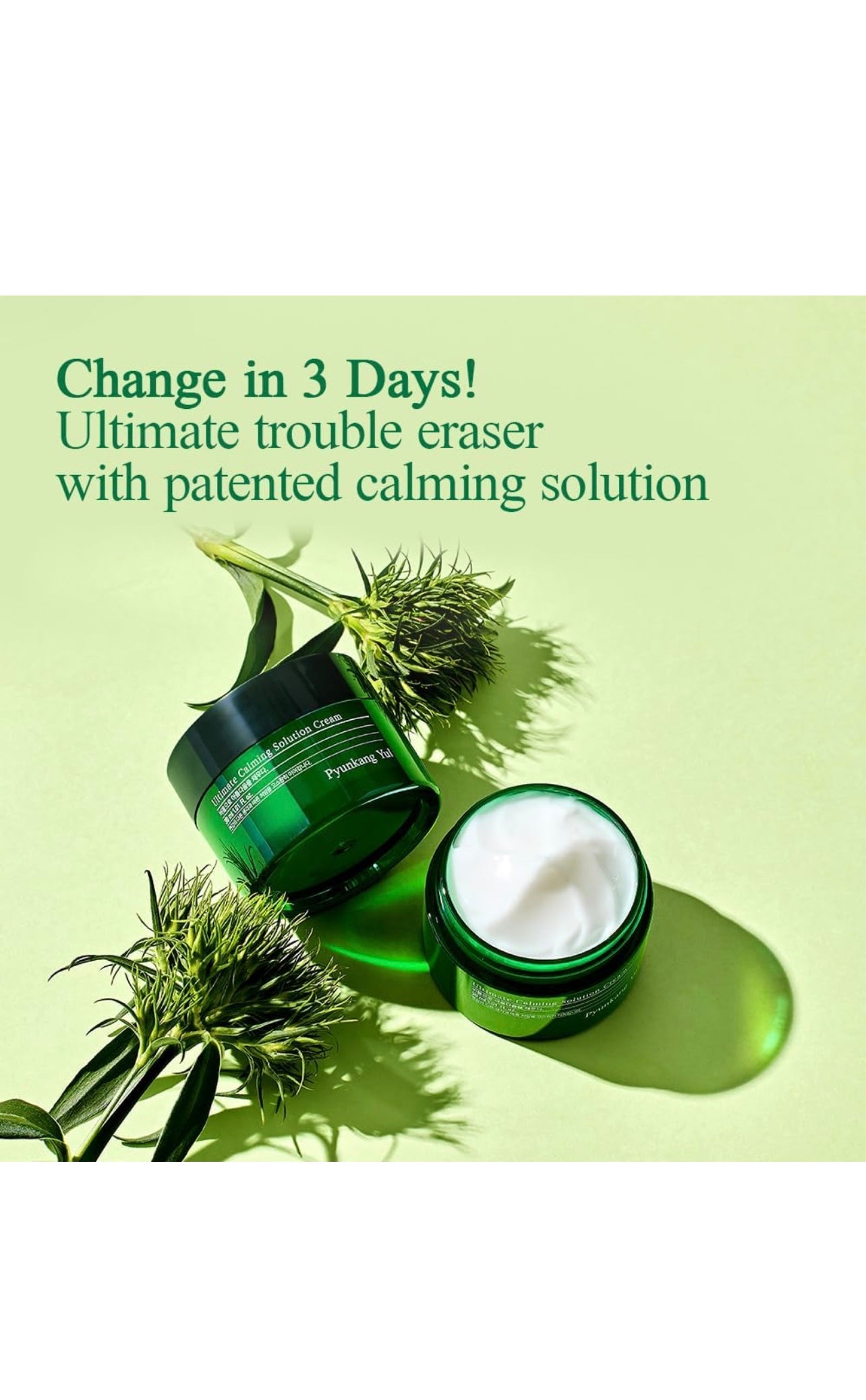 Pyunkang Yul Ultimate Calming Solution Cream