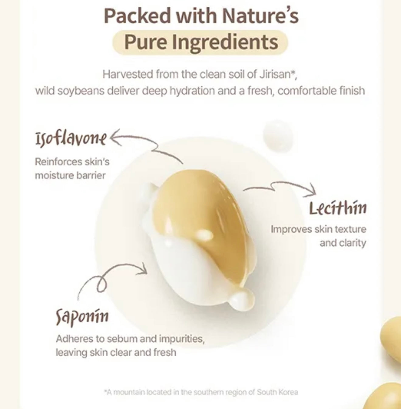 ma:nyo Pure Soybean Cleansing Milk