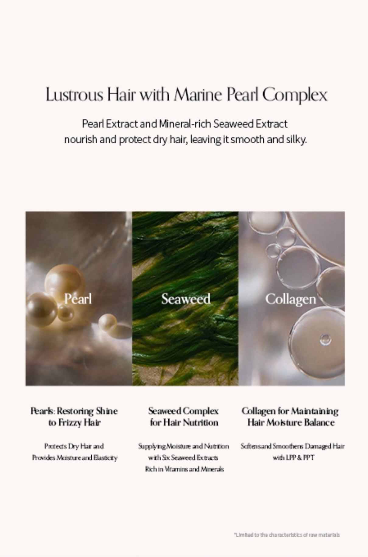 Growus Damage Therapy No-Wash Treatment EX