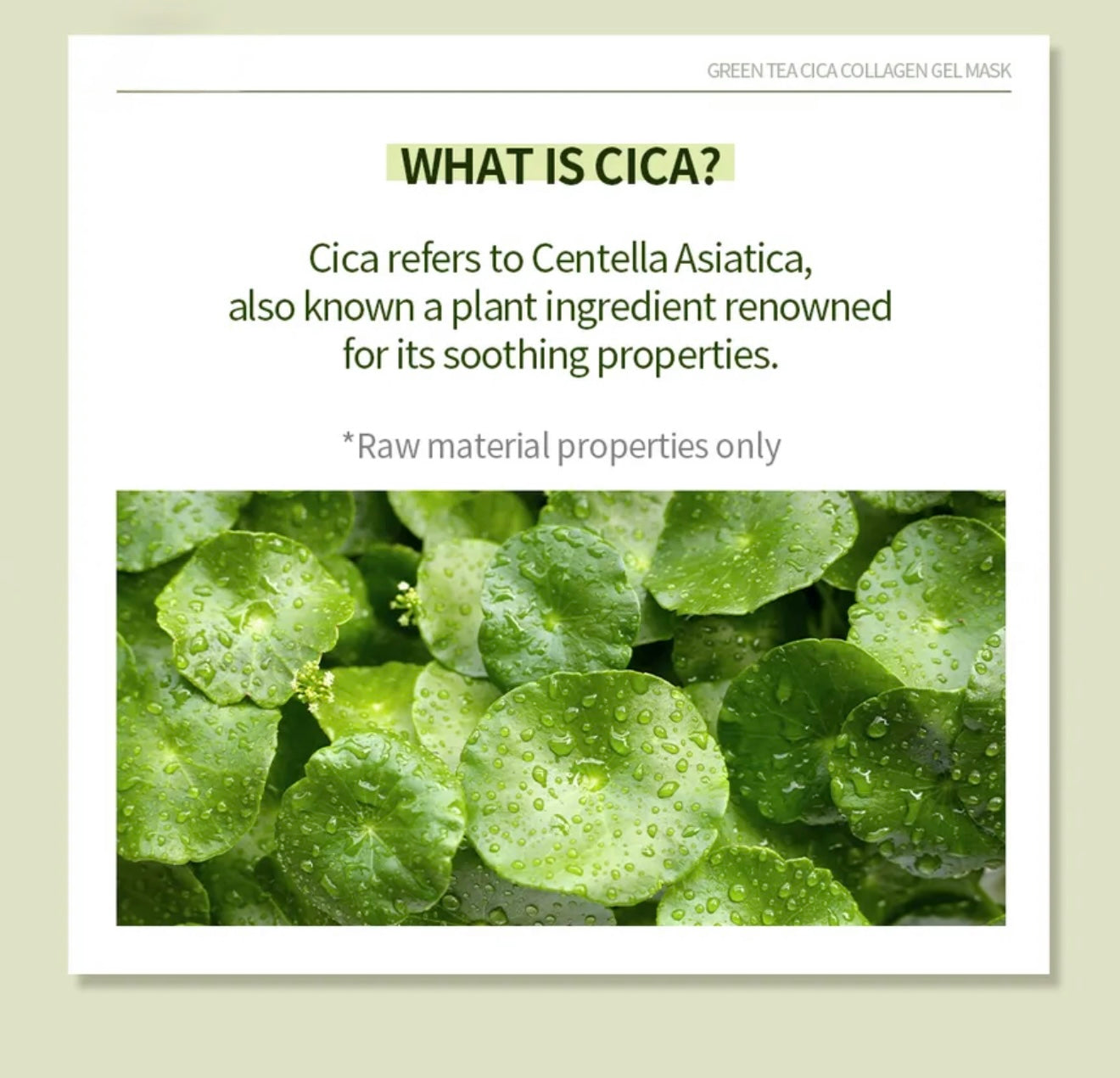 Nacific Green Tea Cica Collagen Gel Mask