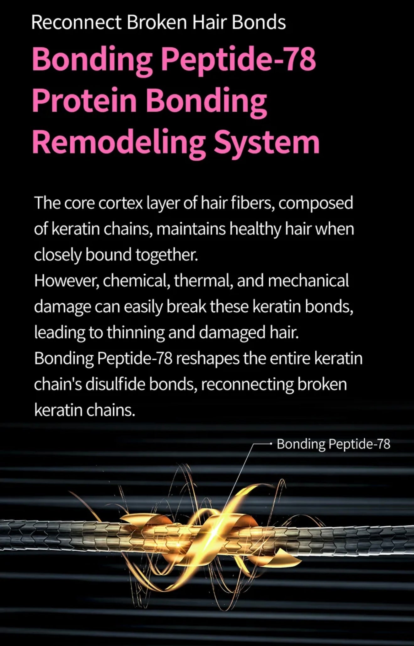 Dr. Melaxin Bondex Clinic II, Bondex Protein Bonding Remodeling Clinic