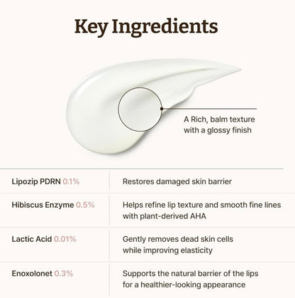 Dr.Reju-All Advanced PDRN Rejuvenating Lip Serum
